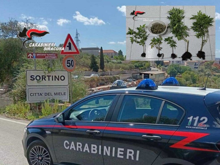 Sortino_CC