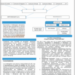 LaNotizia_44_2026